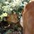 Michelle Martin Tuckness's profile image