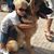 Rose Marie Grillo-Navas's profile image