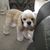 Ann Schism Baker's profile image