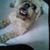 Linda L Pearson-Donaldson's profile image
