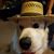 Tracy Lynn Newberry's profile image
