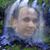 Eugenio Marrero's profile image