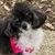 Izabela Reis's profile image