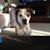 Jed D.'s profile image