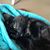 Alma Orta Moreno's profile image