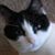 Barbara Schaeffer's profile image