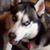 Josephine Weber's profile image