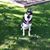 Kimberly A Milone's profile image