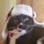Pam N Indy's profile image