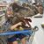 Erin Davis's profile image