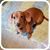 Nickie Williams Caldwell's profile image
