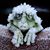 Jo Curtis's profile image