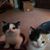 Donna Burdick's profile image
