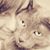 Nadine Siers's profile image