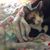 Judy Keches's profile image