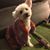 Peggy Green's profile image