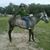 Arturo Gonzalez's profile image