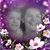 Rosalee Beard Earwood's profile image