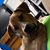 Kristin Nobile-Wong's profile image