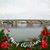 Robbin Kline-Vaughan's profile image
