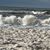 Sandy Muston's profile image