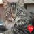Eroom Ekim's profile image