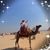 Catherine Lee Henriques's profile image