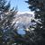 Randy Knopp's profile image
