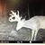 Joel Basinger's profile image