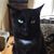 Melinda Fuller's profile image
