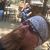 Billy Stokes's profile image