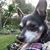 Donna Sue Spinks-Morrow's profile image