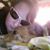 Sheila Dieterly's profile image