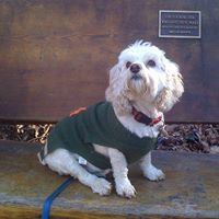 Joni Shaw's profile image