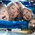 Debbie Hicks's profile image