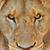 Debby Martin's profile image