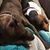 Michelle Blasco Crawford's profile image