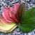 Amany Mohamed's profile image