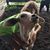 James Marshall Fewell Jr.'s profile image