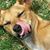 Gary Allan Seward's profile image