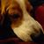 Amy Thorp's profile image