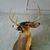 Dale Goodlett's profile image