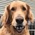 Bill Volbers's profile image