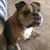 Darlene Cavey Feyerherd's profile image