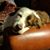 Ro Durney's profile image