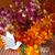 Rosa Pensa's profile image