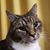 Sarah Timberman's profile image