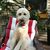 Patrick Martha Hoss Conley's profile image