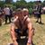 Blake Poore's profile image