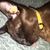 Lolo Kidwell's profile image